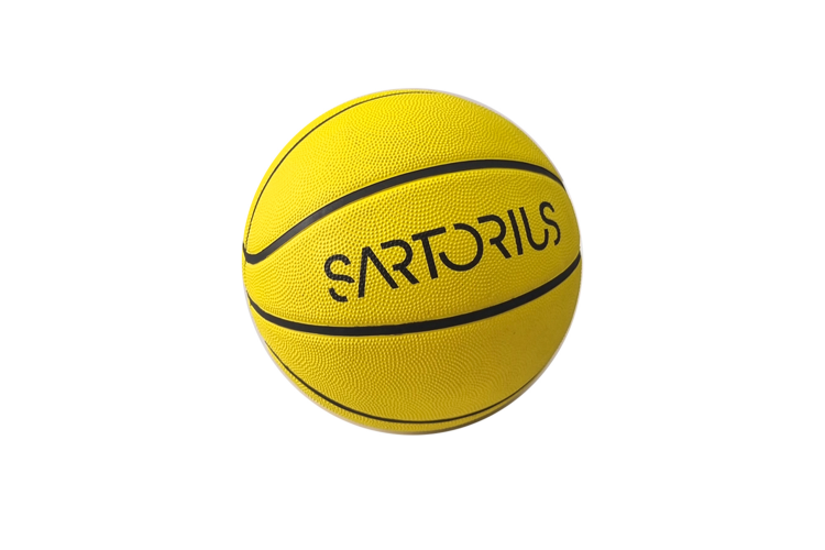 Bild von Basketball Gr. 7